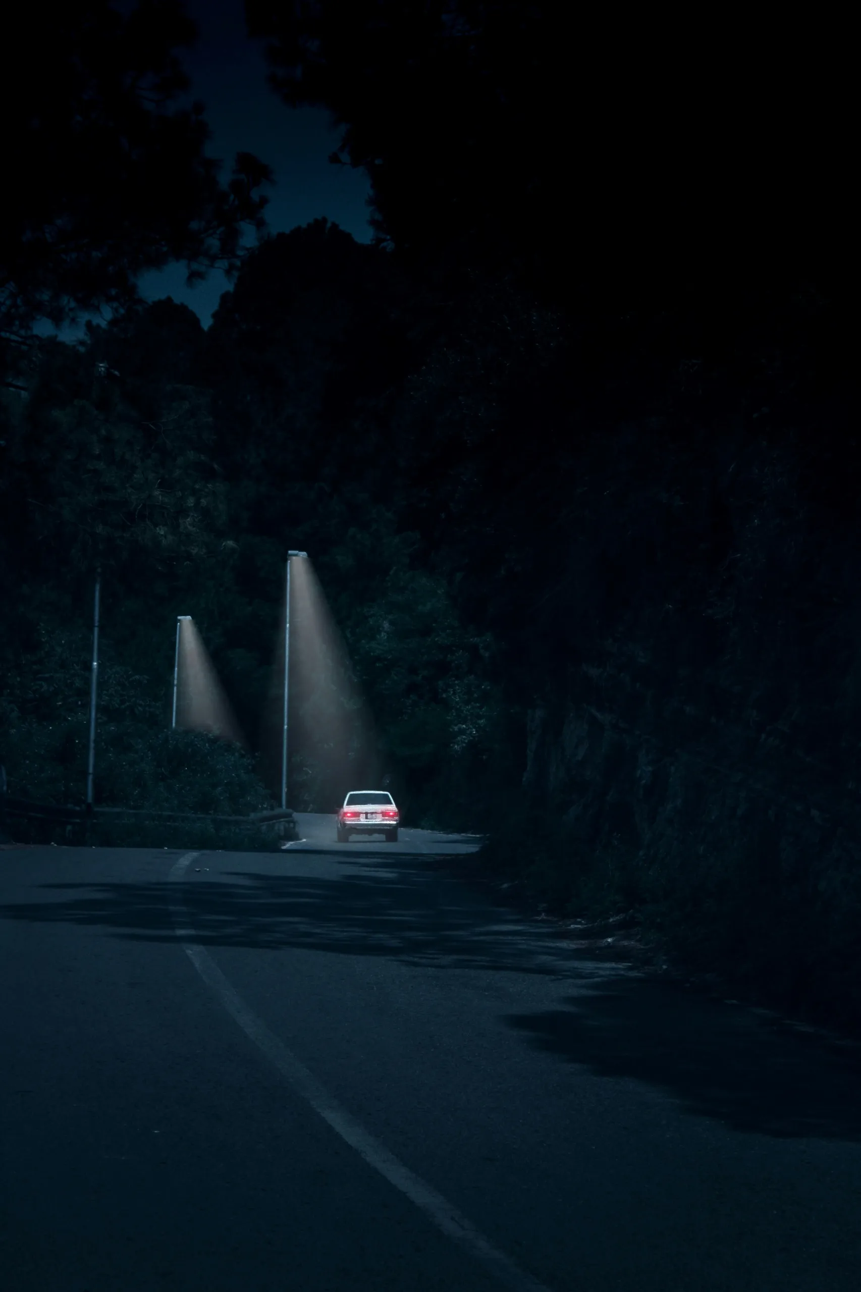 Coche en una carretera forestal nocturna con la luz de las farolas